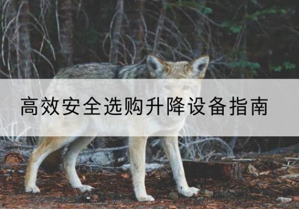 崇阳升降货梯厂家推荐-*安全选购升降设备指南