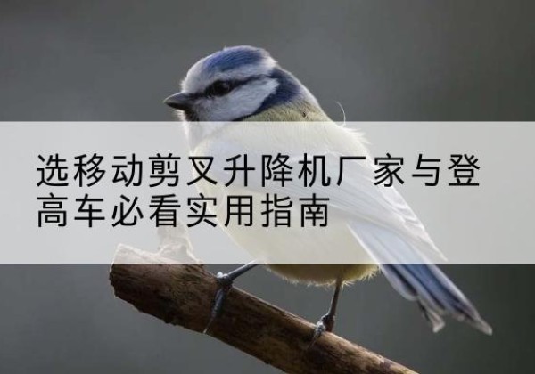 崇阳电动升降机厂家-选移动剪叉升降机厂家与登高车必看实用指南