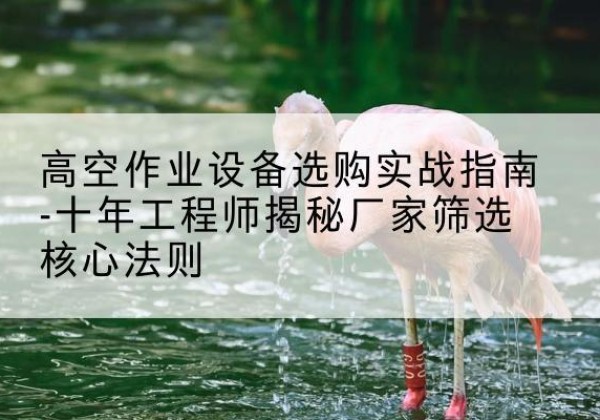 崇阳剪叉式升降机厂家-高空作业设备选购实战指南-十年工程师揭秘厂家筛选核心法则